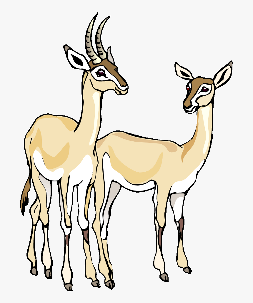 Free Gazelle Clipart Baby Llama Clip Art Baby Llama - Clip Art Gazelle, HD Png Download, Free Download