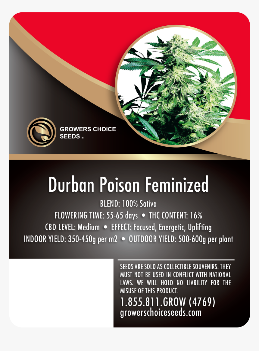 Durban Poison Feminized Cannabis Seeds - Skunk Kush, HD Png Download, Free Download