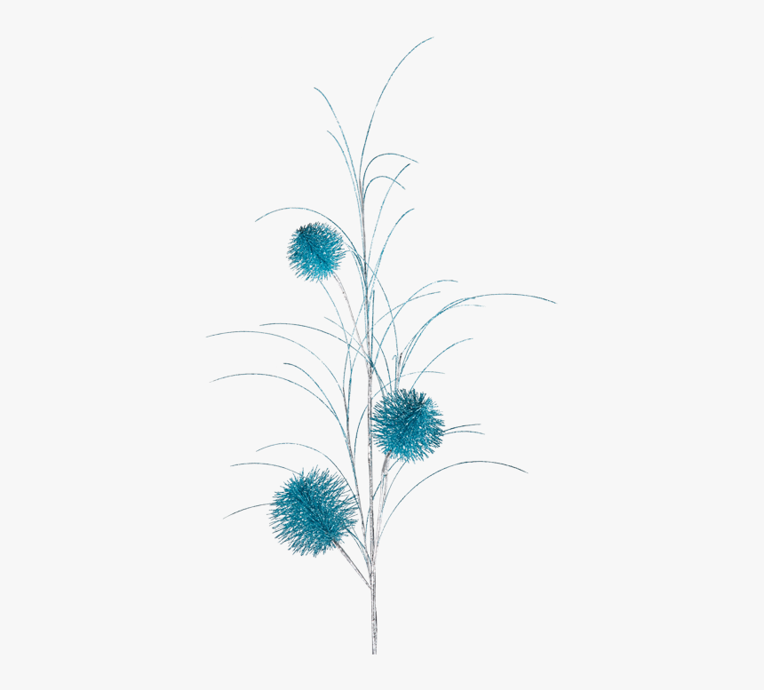 Branch With Bobble, Turquoise - Sketch, HD Png Download, Free Download