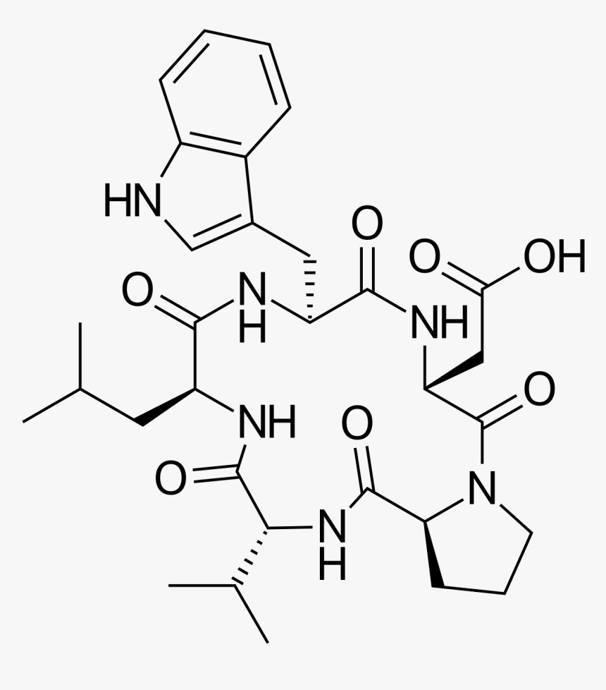 Erenumab Chemical Structure, HD Png Download, Free Download