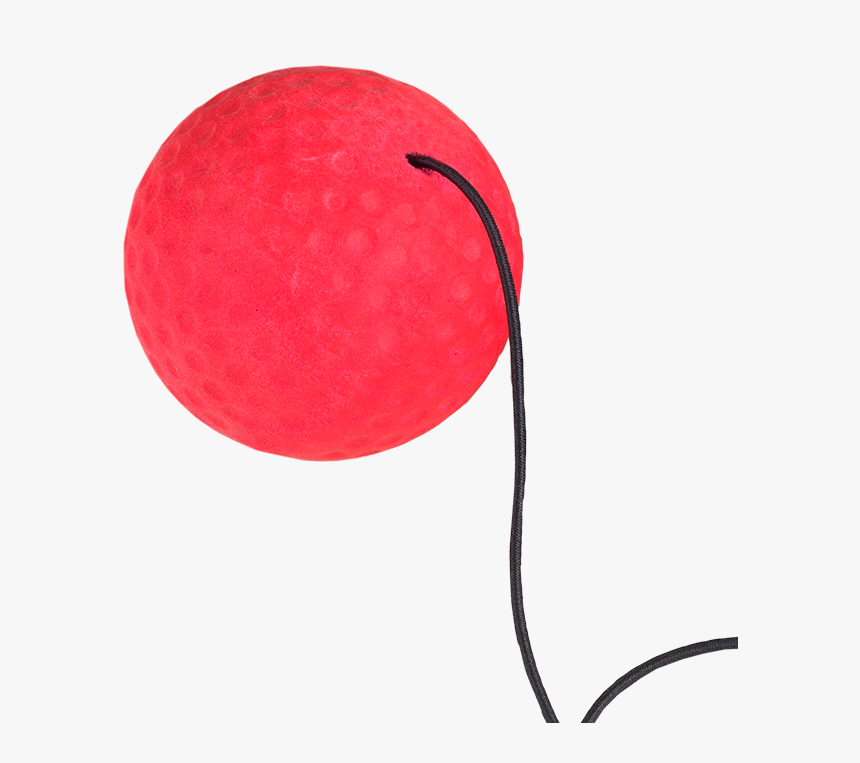It Is Possible To Buy A Red Ball Seperately, With A - Racquetball, HD Png Download, Free Download