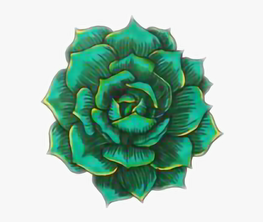 Rose Greenrose Tumblr Green Beautiful - Succulents Drawing, HD Png Download, Free Download