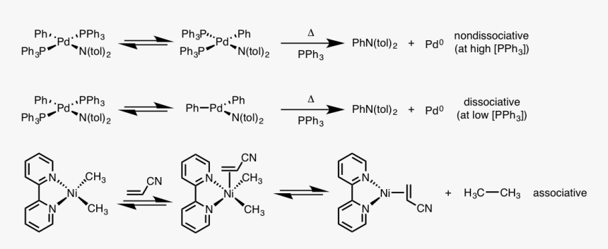 Reductive Elimination From Square Planar Complexes - Square Planar Reductive Elimination, HD Png Download, Free Download