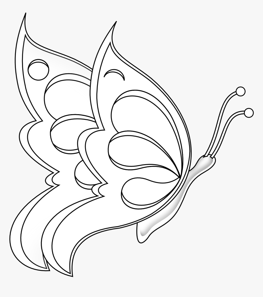 Butterfly Drawing Png, Transparent Png, Free Download