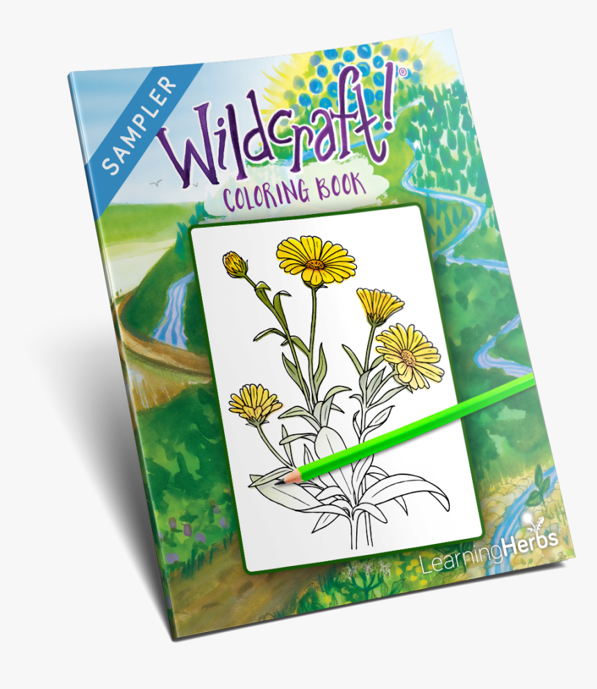 Wildcraft Herbs Coloring Book - Tansy, HD Png Download, Free Download