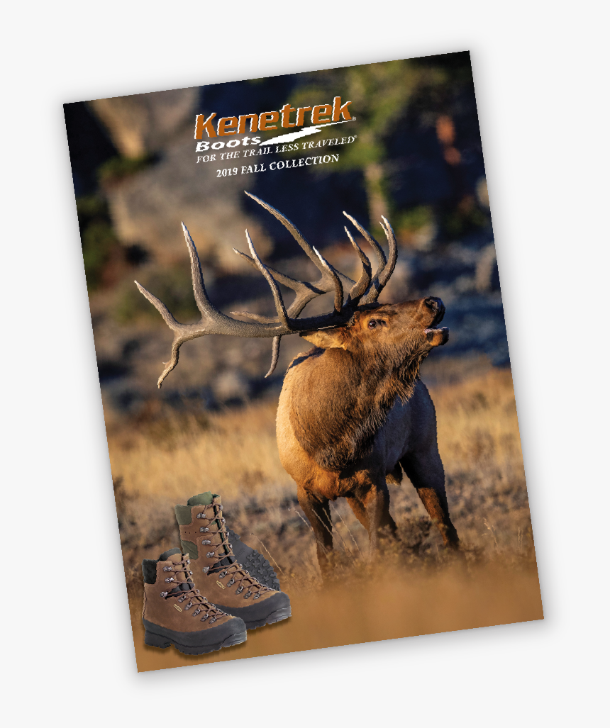 Elk, HD Png Download, Free Download