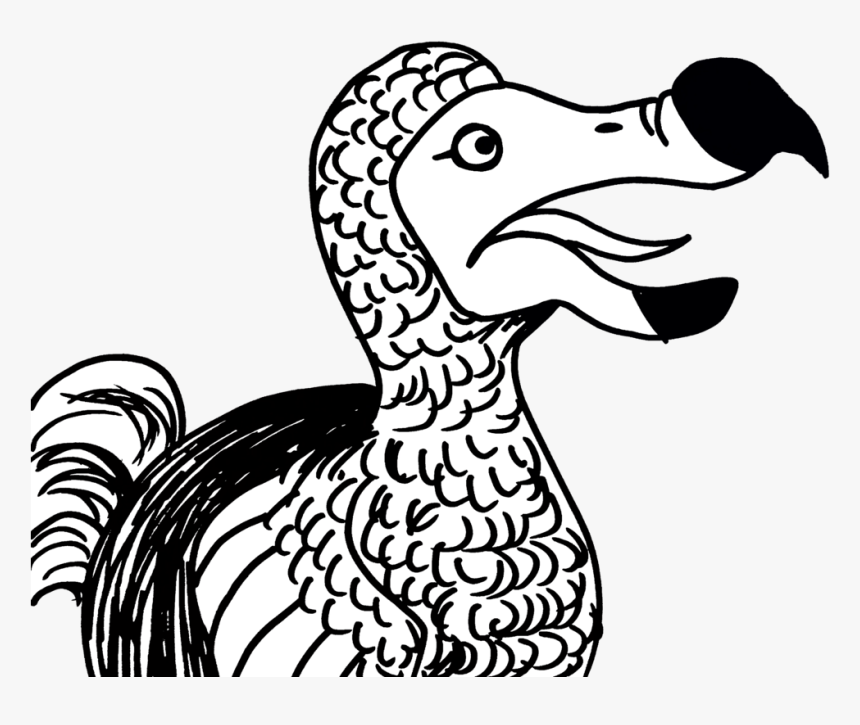 Dodo - Duck, HD Png Download, Free Download
