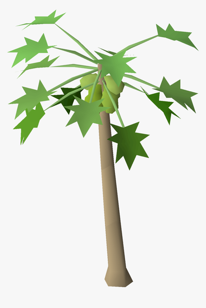 Papaya Tree Sapling, HD Png Download, Free Download