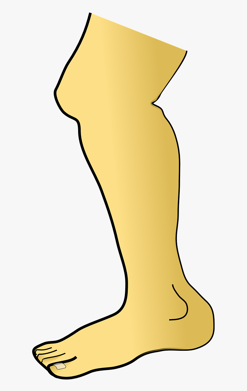 Leg Clip Art, HD Png Download, Free Download