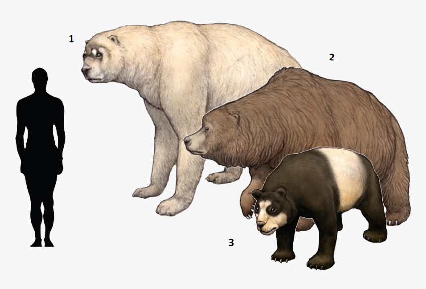 Extinct Clipart Ice Age Animal - Polar Bear Vs Cave Bear, HD Png Download, Free Download