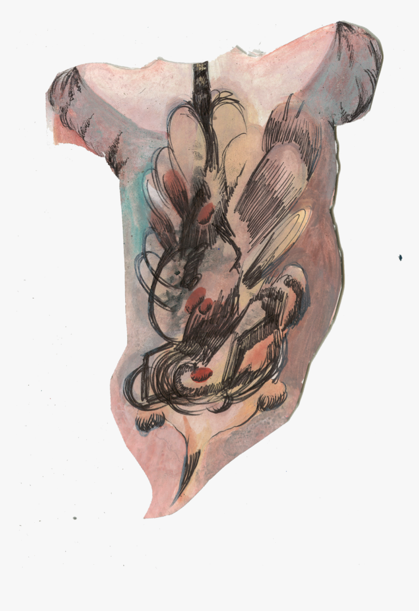 Torso - Tattoo, HD Png Download, Free Download