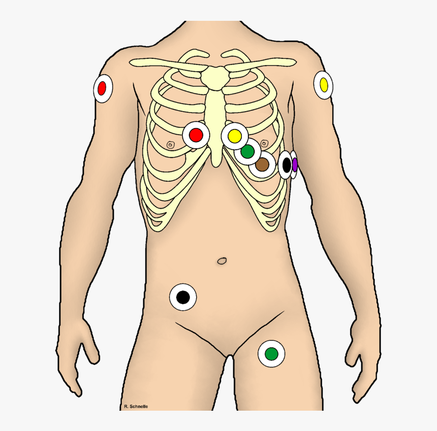 12 Kanal Ekg Kleben, HD Png Download, Free Download