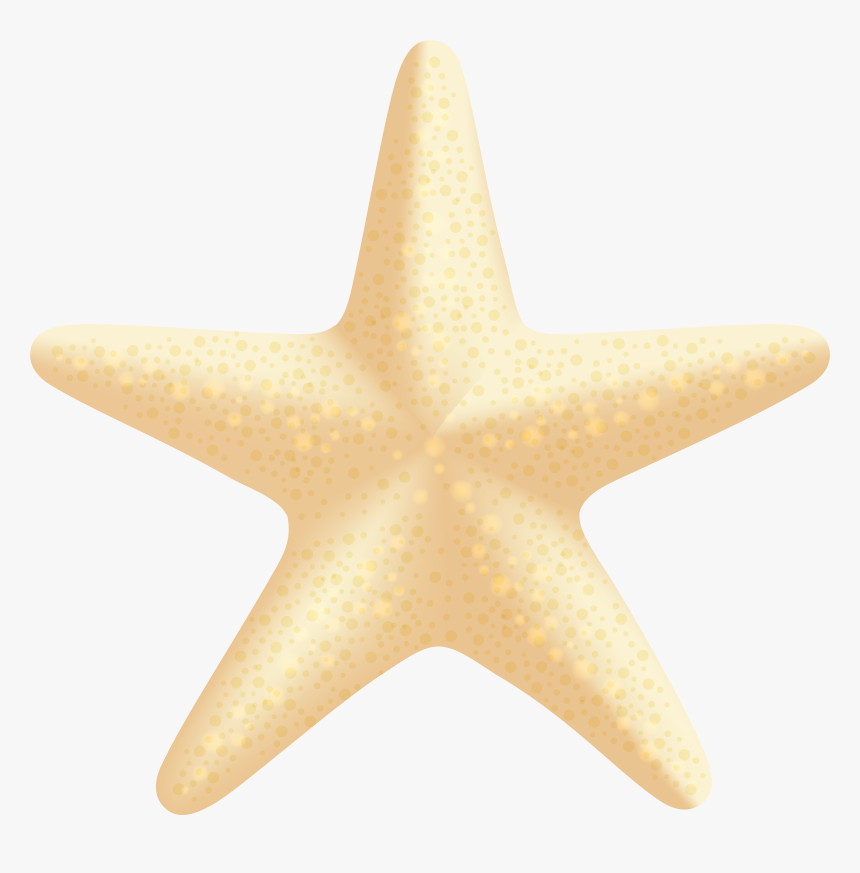 Sea Star Drawing Clipart Panda Clip Art Free Stock, HD Png Download, Free Download