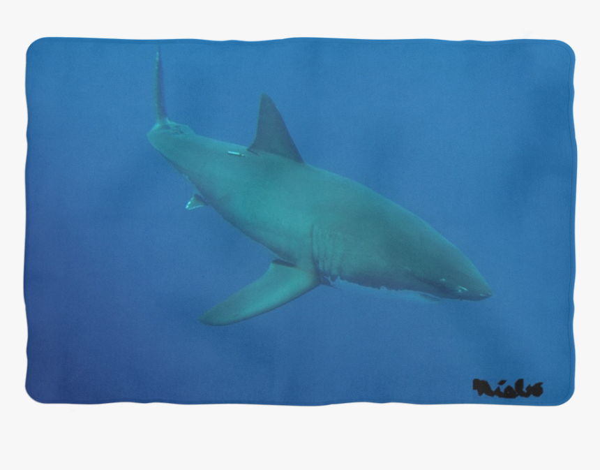 Great White Shark, HD Png Download, Free Download