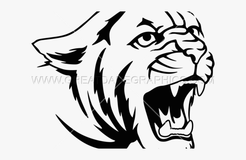 Roar Clipart Cougar - Drawings Of A Cougar Easy, HD Png Download, Free Download