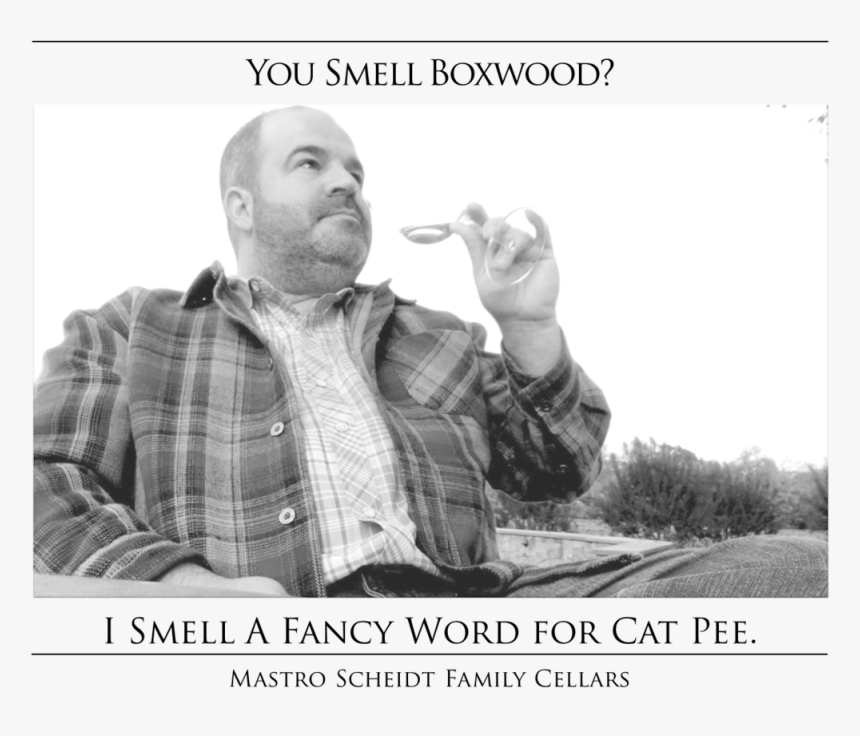 Boxwood Or Cat Pee, HD Png Download, Free Download