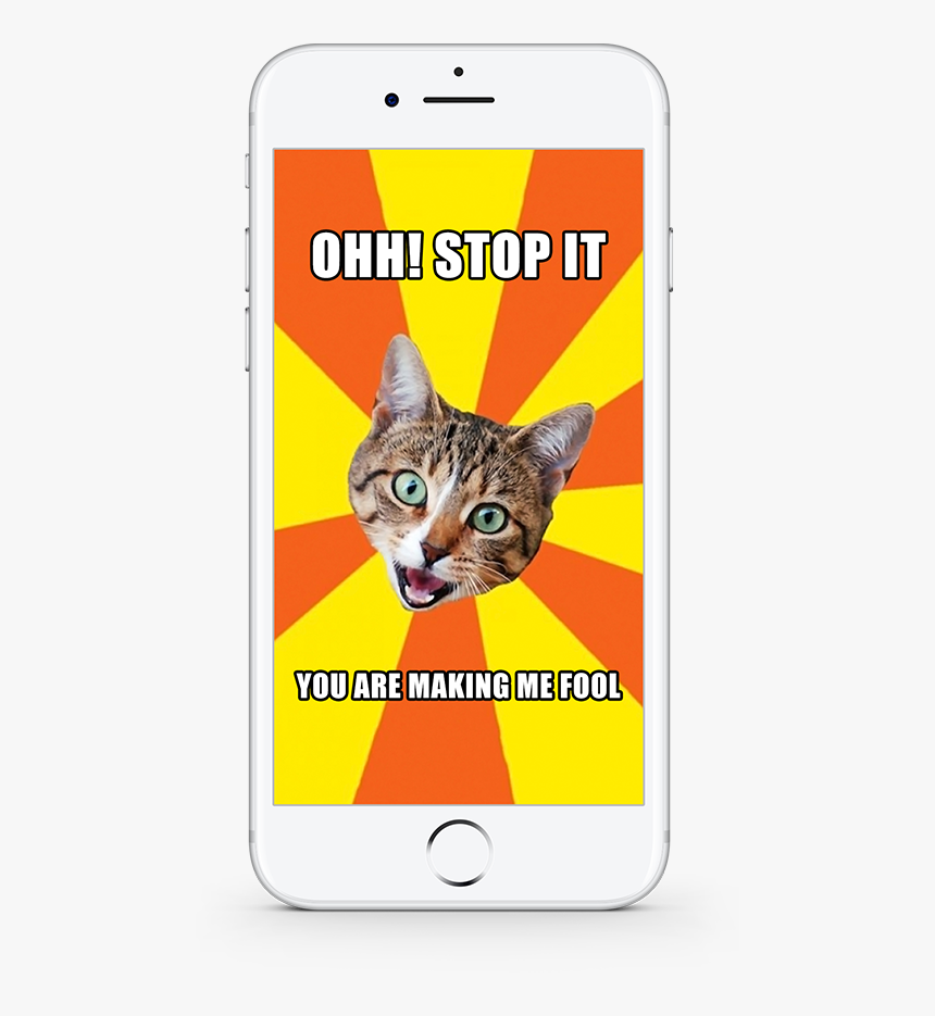 Meme Maker Developed By Digi Tech Lab - Pussy Cat Good Morning, HD Png Download, Free Download