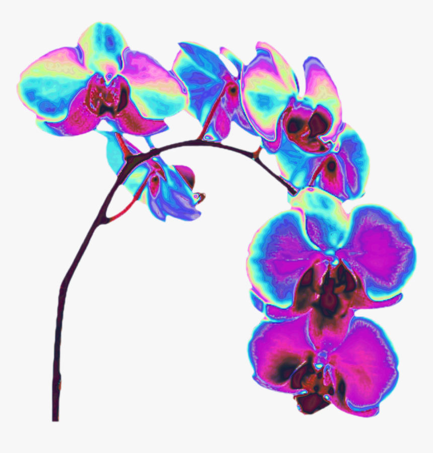 #orchid #flower #holo #holographic #garden #purple, HD Png Download, Free Download