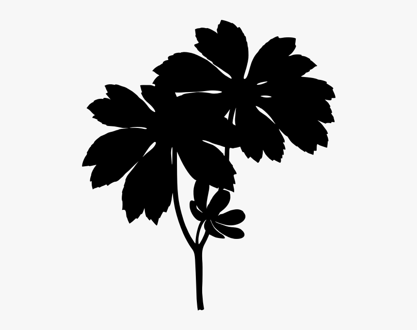 Maple Leaves Silhouette - Podophyllum Peltatum Png, Transparent Png, Free Download