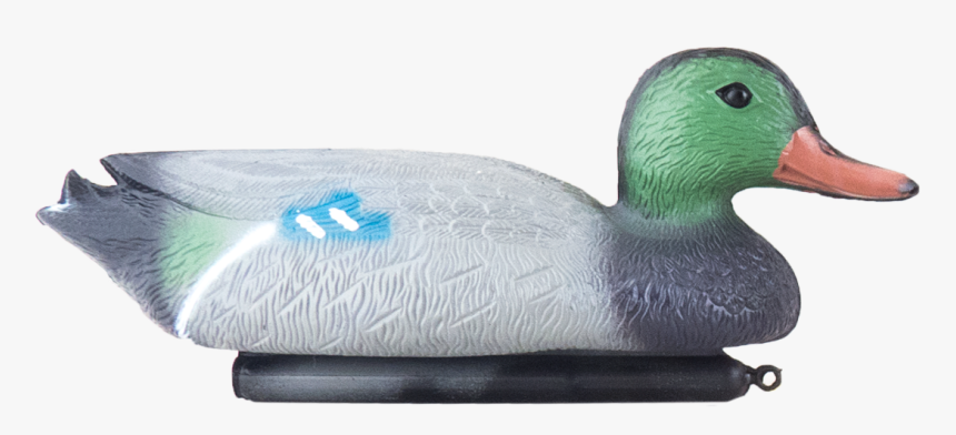 Plastic Mallard Duck -male - Mallard, HD Png Download, Free Download