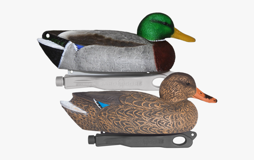 Hardcore Mallard Decoys, HD Png Download, Free Download