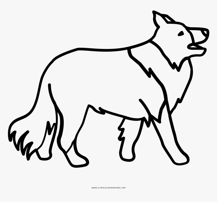 Border Collie Coloring Page - Border Collie Drawing Outline, HD Png Download, Free Download