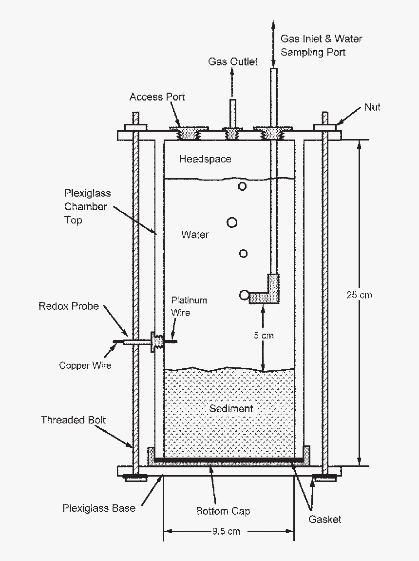 Diagram, HD Png Download, Free Download