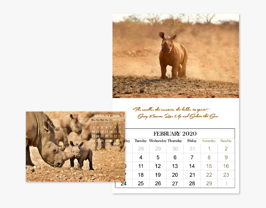Calendar-1 - African Elephant, HD Png Download, Free Download