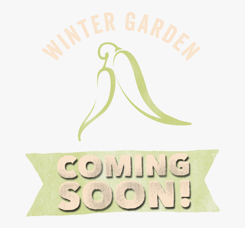 Calligraphy, HD Png Download, Free Download