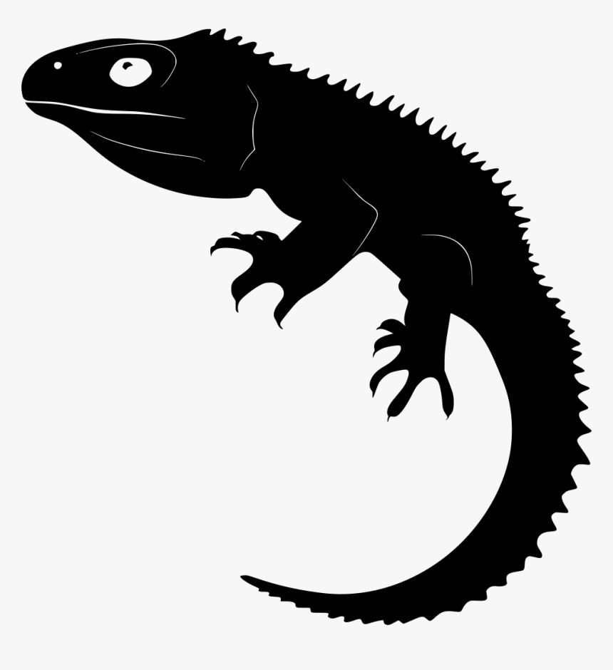 Tuatara Vector, HD Png Download, Free Download