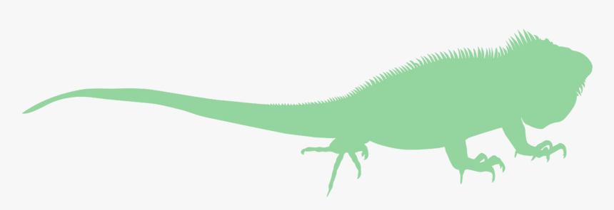 Herbivores » - Green Iguana, HD Png Download, Free Download