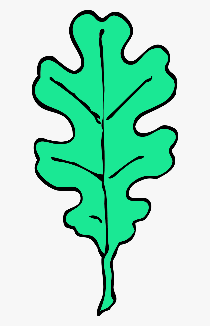 Color Variation D - Oak Tree Leaf Clipart, HD Png Download, Free Download