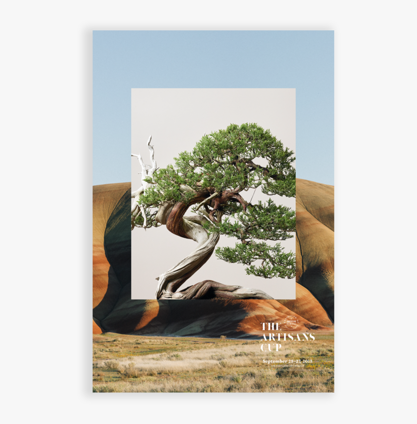 Poster4 - Western Juniper, HD Png Download, Free Download