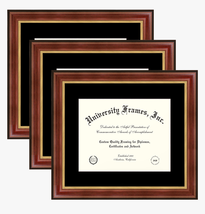 Three 6 X 8 Document Frames Unimprinted Matboard Davinci - University Diploma, HD Png Download, Free Download