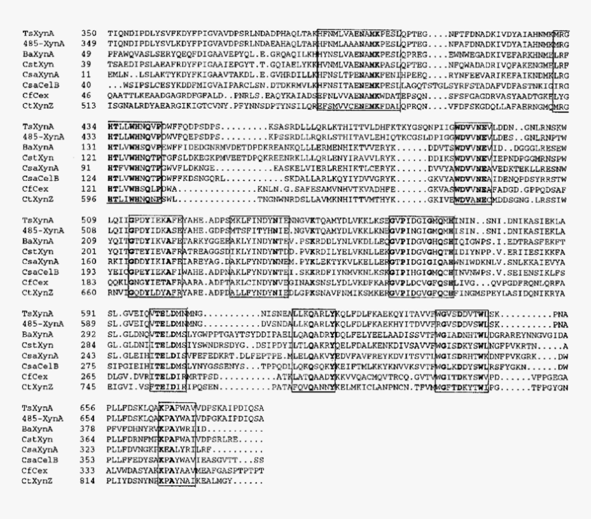 Document, HD Png Download, Free Download