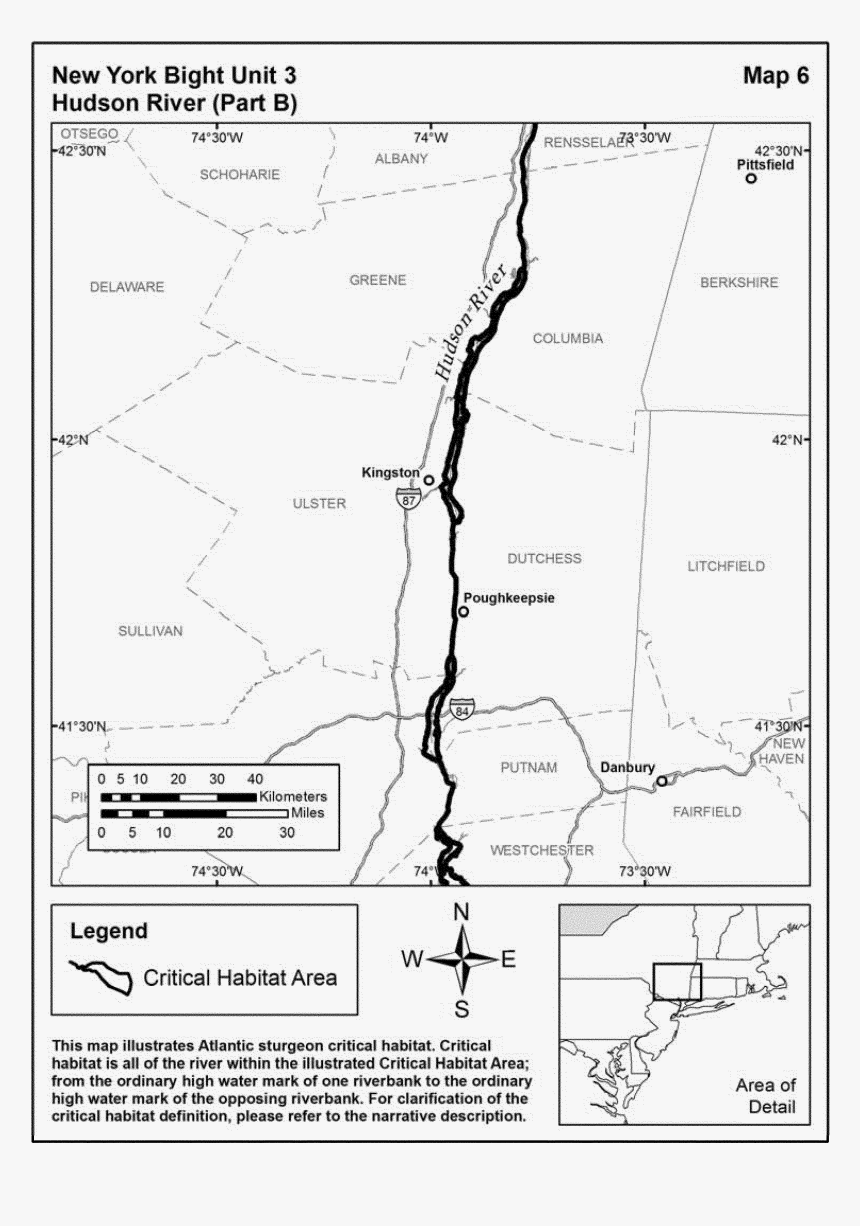 Gulf Of Maine Atlantic Sturgeon Critical Habitat, HD Png Download, Free Download