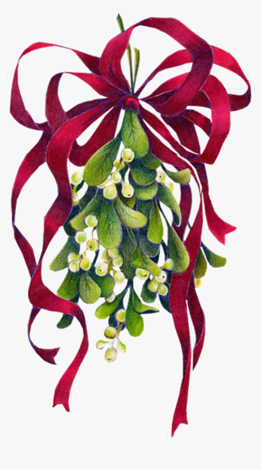 Transparent Mistletoe Clip Art - Clip Art Christmas Mistletoe, HD Png Download, Free Download