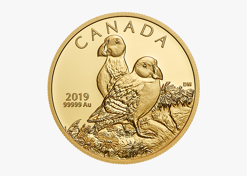 2019 $200 Pure Gold Coin Atlantic Puffins, HD Png Download, Free Download