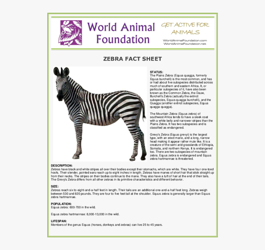 Fact Sheet About Animals, HD Png Download - kindpng