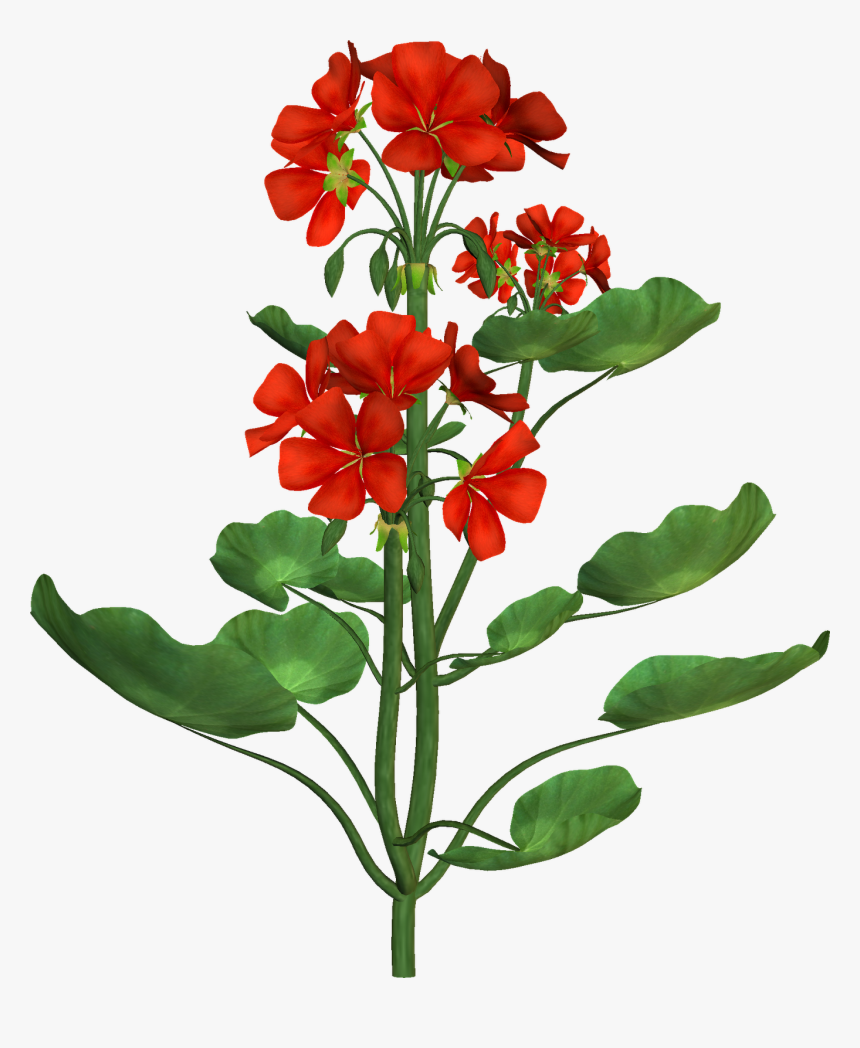 Tree Seed Clipart Clip Art Flower Botanical Illustration - Flowering Plants Photoshop Png, Transparent Png, Free Download