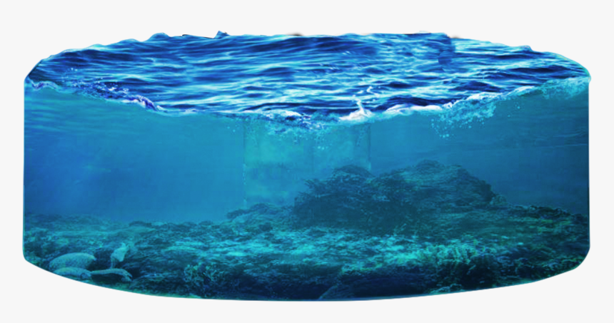 Round By Donkeysneakers On - Sea Round Png, Transparent Png, Free Download