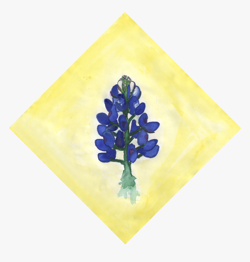 Bluebonnet, HD Png Download, Free Download