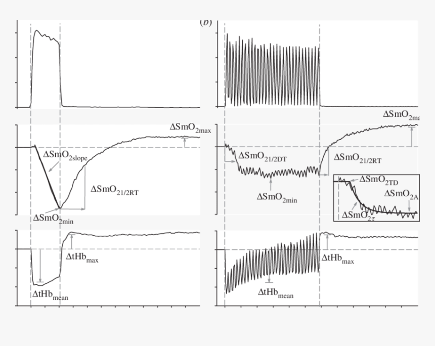 Diagram, HD Png Download, Free Download