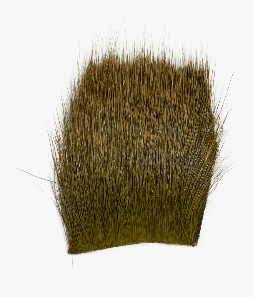 Grass, HD Png Download, Free Download