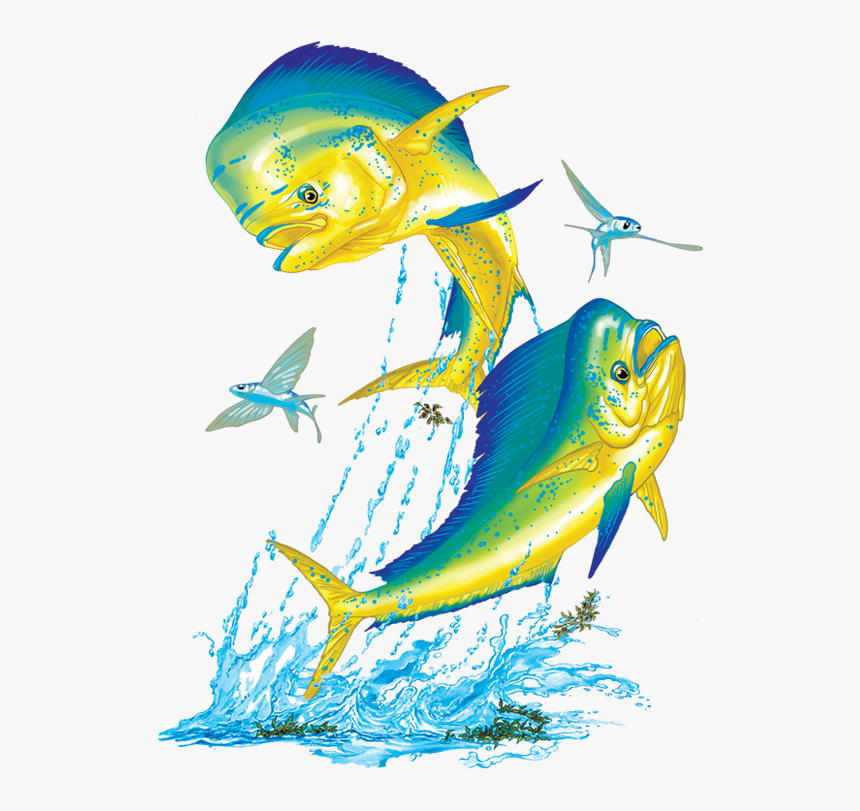 Mahi Mahi Double - Sailfish, HD Png Download, Free Download