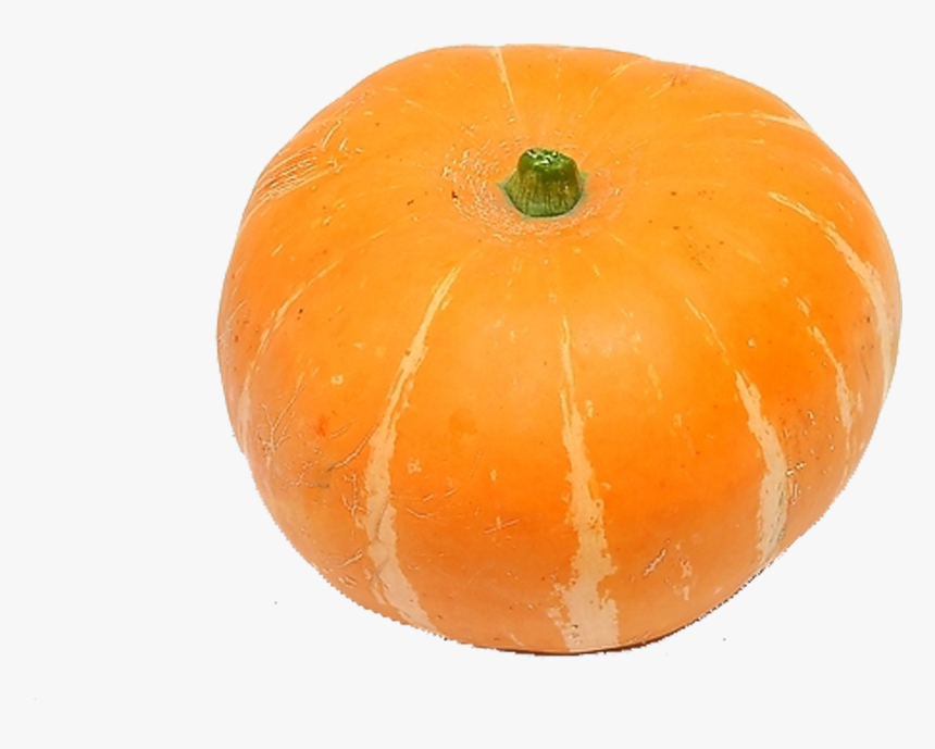 Pumpkins And Gourds Png - Pumpkin, Transparent Png, Free Download