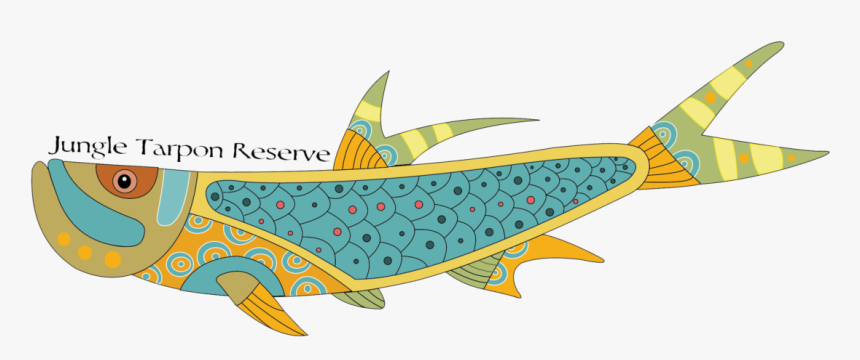 Tarpon Vector Mahi Fish, HD Png Download, Free Download