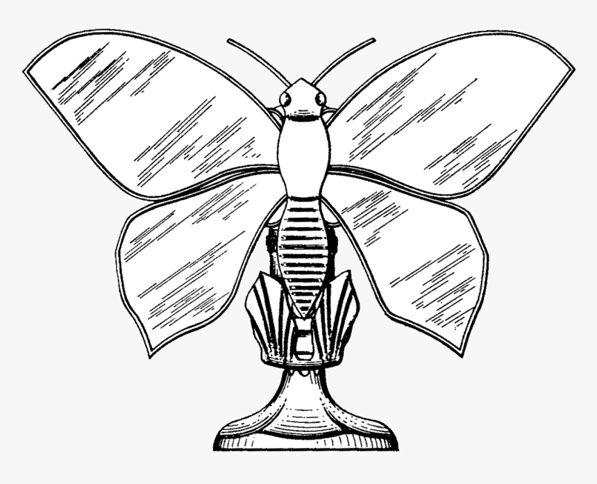 Bee, HD Png Download, Free Download