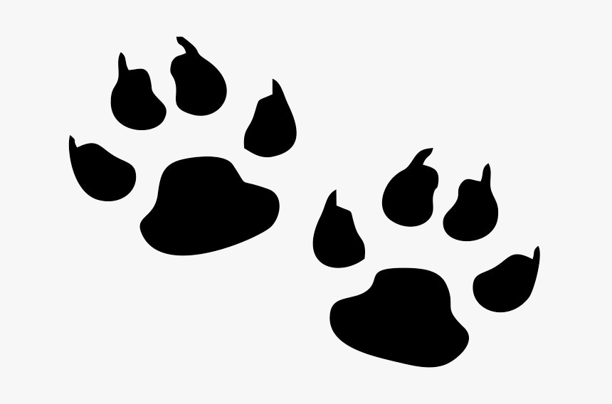 Lion Paw Print Png, Transparent Png, Free Download