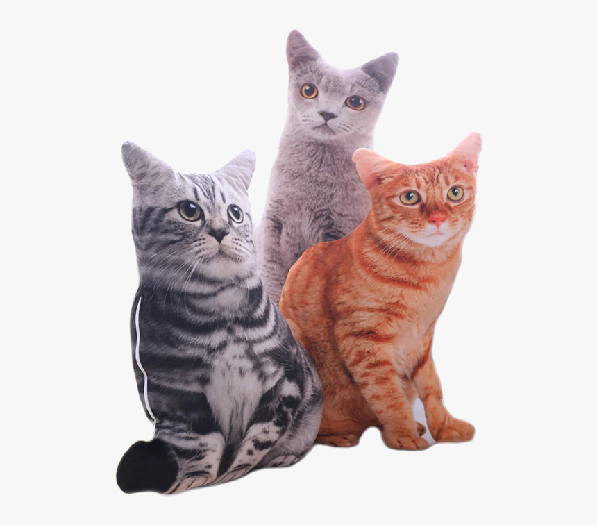 Cat Plush - Cat Shape Cushion, HD Png Download, Free Download